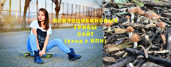 герыч Пересвет