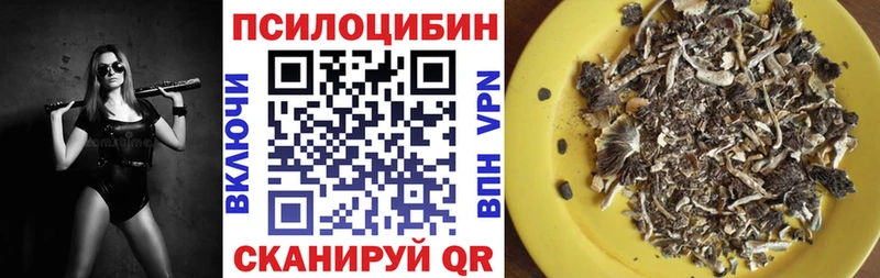 kraken как войти  купить наркотик  Бодайбо  Псилоцибиновые грибы GOLDEN TEACHER 
