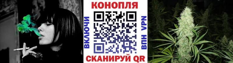 Канабис OG Kush Бодайбо